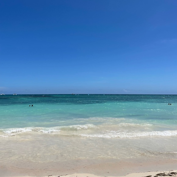 shore_and_stem